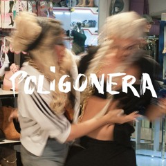 POLIGONERA