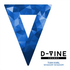 Tian Karl - Wisdom Wisdom OUT TODAY