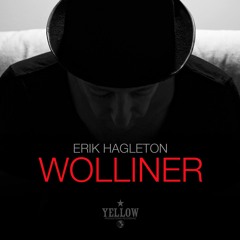 Wolliner (Original Mix)