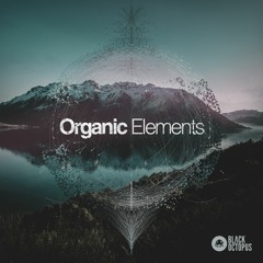 Black Octopus Sound - Organic Elements (main Demo)