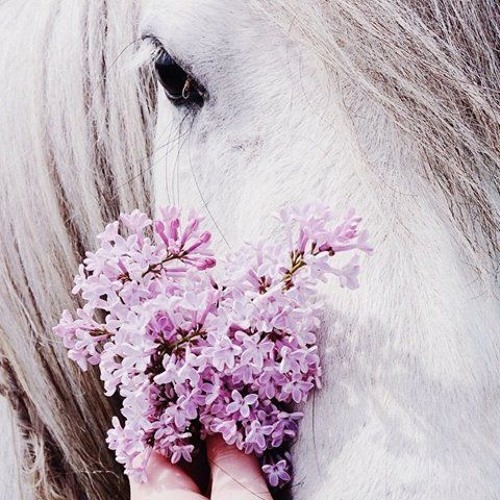 الثبات على الطاعة ! | الداعية خالد الراشد