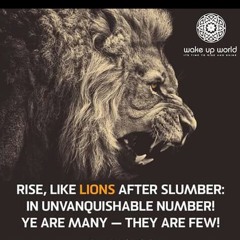 Loyalty honesty integrity