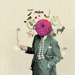 FREE YOUR MIND