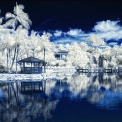 Corint - Tropical Winter