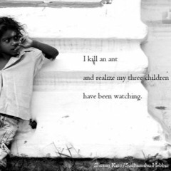 Have Been Watching [Naviarhaiku 097 - I Kill An Ant]