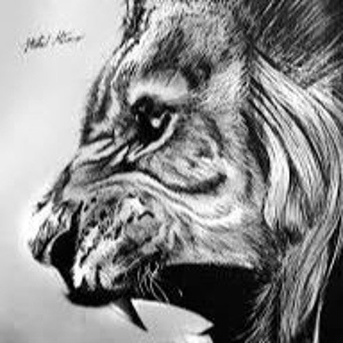 Dubious - King of the Jungle RMX