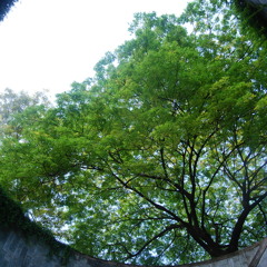 02 Track 2 National Library