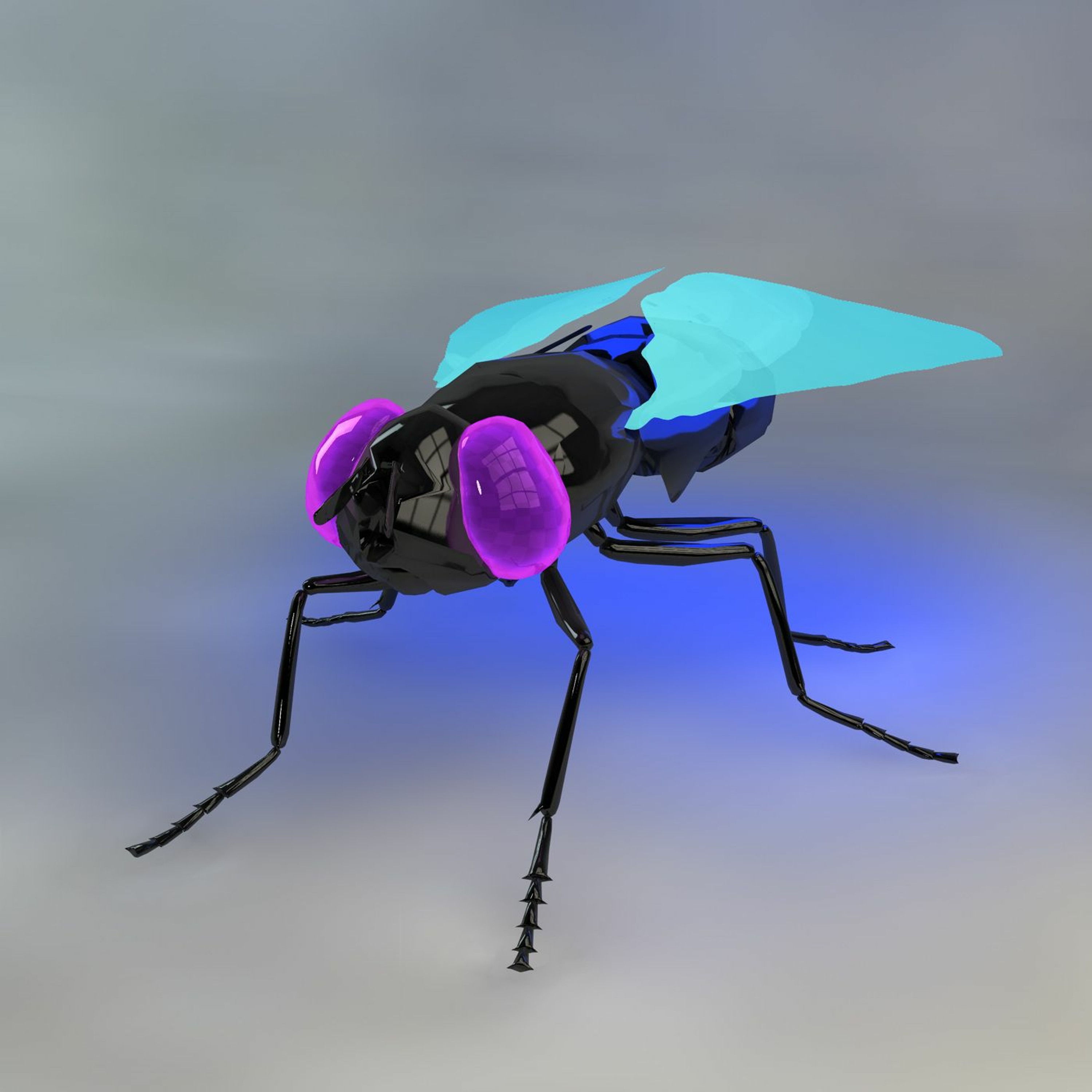 "Fly Reg" episode artwork