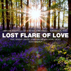 Aimoon, AxelPolo, Ost & Meyer, Stan Arwell, Tom Swoon, Vigel - Lost Flare Of Love (Roth Mashup)