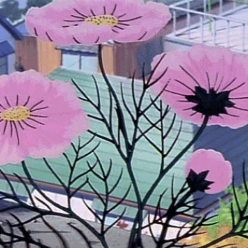 beatboxbandit // APO - its been forever