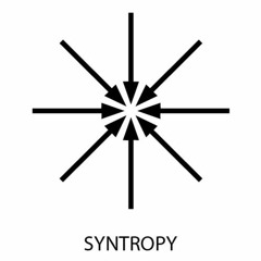Syntropy