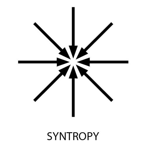 Syntropy