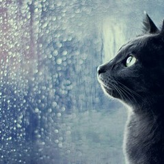 BRAVESBOY - PUTUSKAN PACARMU.mp3