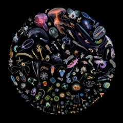 J. Ralph & SIA - One Candle