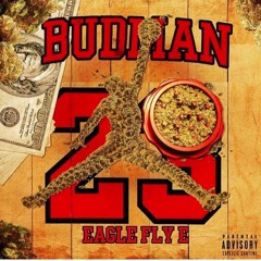 EagleFly E - BudMan (Jumpman Freeswag)