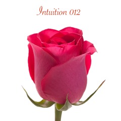 Intuition 012 - The Best Century Trance Mix