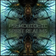 Psykobiotic Spirit Realm Ep (Quantum_Digits_Rec) Out Now!!