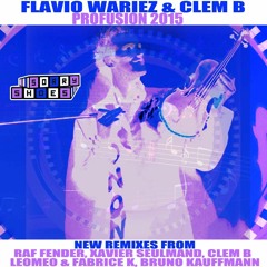 Flavio Wariez & Clem B - Profusion 2.0 (T - Flame Remix)