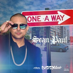 Sean Paul - One A Way [Biggy Music 2015]