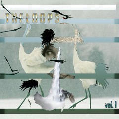 Pgndst - Onaka Suita || . t h e l o o p s. vol.1 out now!