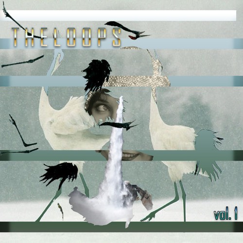 Pgndst - Onaka Suita || . t h e l o o p s. vol.1 out now!