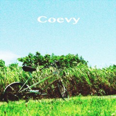 Coevy