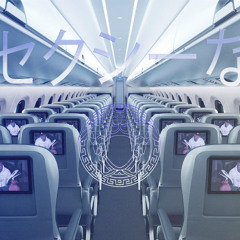 Contact Lens - Eddie Bauer