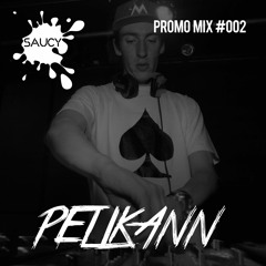 Promo Mix #002 - Pelikann (A Year Of Saucy Special)