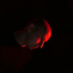 Frank Hellmond "Experience200"