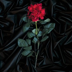 Girlfriends and Boyfriends - Forgiven Lust