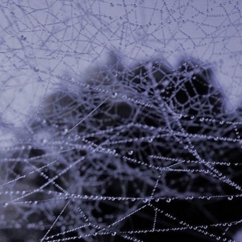 Down /w pauline seaver & OmenXlll