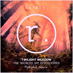 Twilight Meadow - The Worlds We Discovered - Mokabit remix