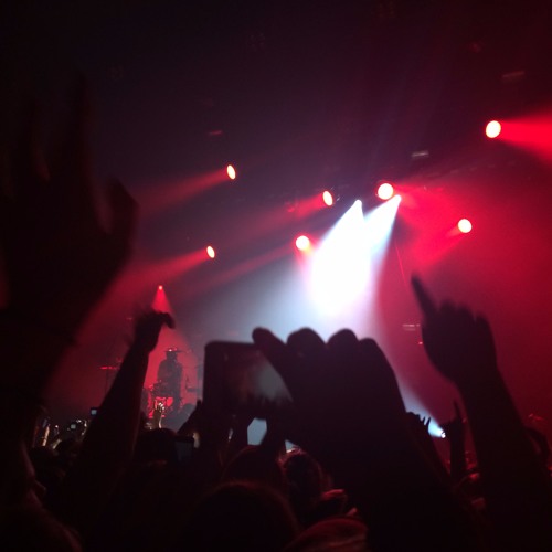 Stream twenty one pilots can't help falling in love with you + crowd