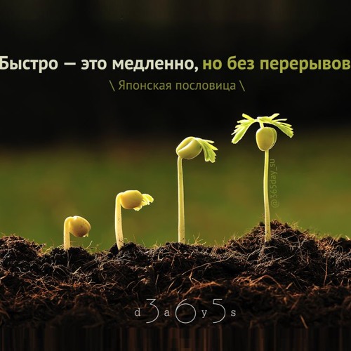 Цитата о быстроте