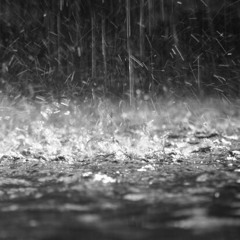 Rain - Vicente Ledesma