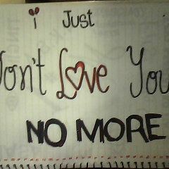 I JUST DON'T LOVE YOU NO MORE