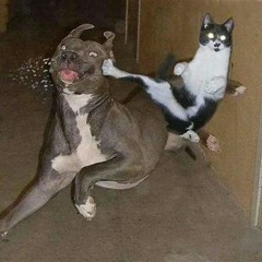 THIS NIGGA TRIED TO FINNESE AND JUUG ME AHAHAHAHAHAHAHA