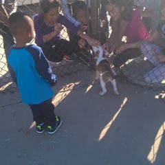 No Pad No Pen Freestyle