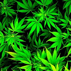 Once or twice-by E-Rich