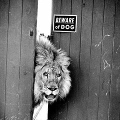 JPGotzBeatz  - JP Beat 510