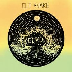 Cutsnake - Echo (Nate Heroux Remix)(3RD PLACE POPULAR VOTE)