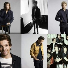 End Of The Day - One Direction Cover