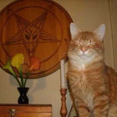 Kitchen Cabinet Calamity Cabaret