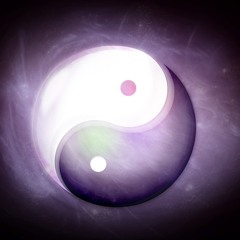 Ying Yang Monks - The Tao (ArkoMo Remix )unmastered preview