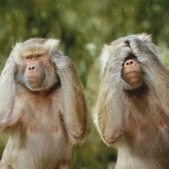 Who's the real king now