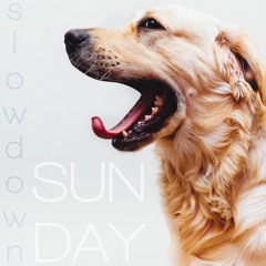 Slowdown Sunday | Vol. 1