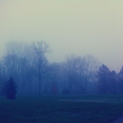 Gnossienne no.1 de Satie par Irène