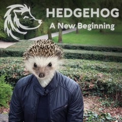 Hedgehog — A New Beginning Mix