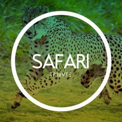 Safari (Original Mix)