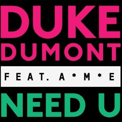 Duke Dumont - Need U (Stereo Frequency Remix)